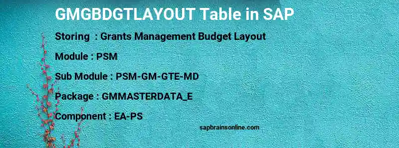 SAP GMGBDGTLAYOUT table