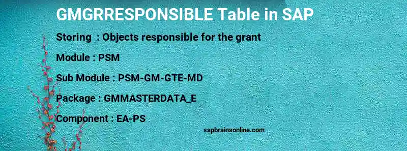 SAP GMGRRESPONSIBLE table