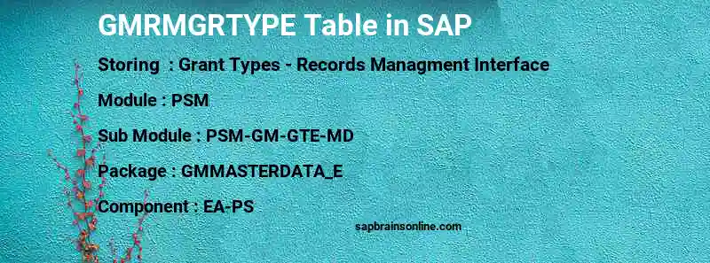 SAP GMRMGRTYPE table