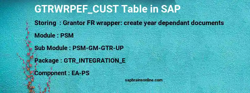SAP GTRWRPEF_CUST table