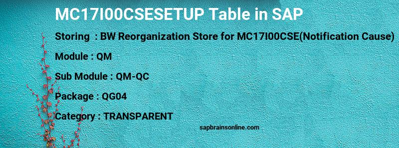 SAP MC17I00CSESETUP table