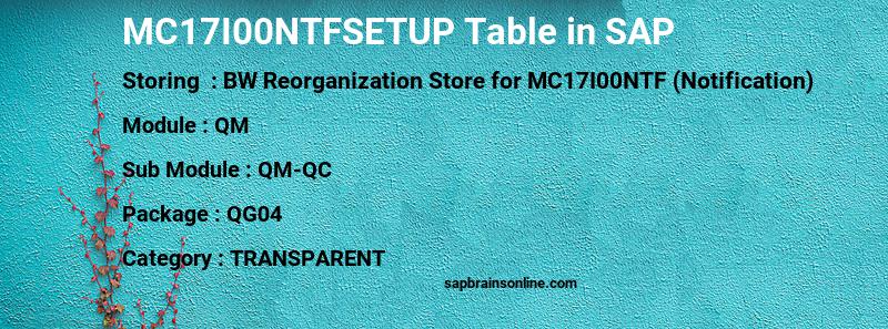 SAP MC17I00NTFSETUP table