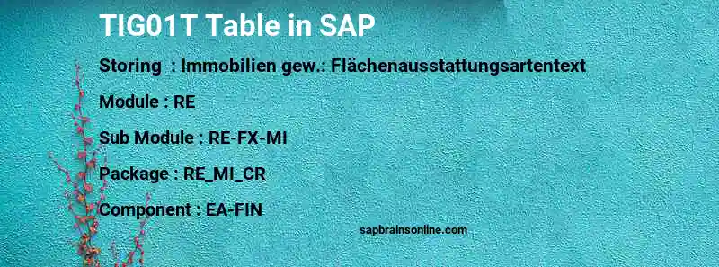 SAP TIG01T table