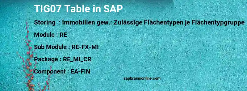 SAP TIG07 table