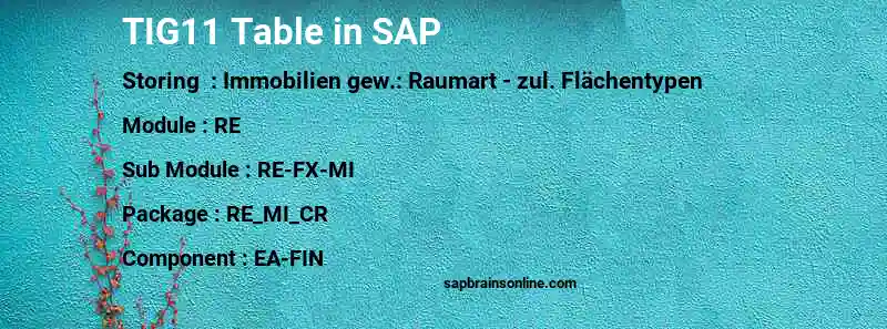 SAP TIG11 table