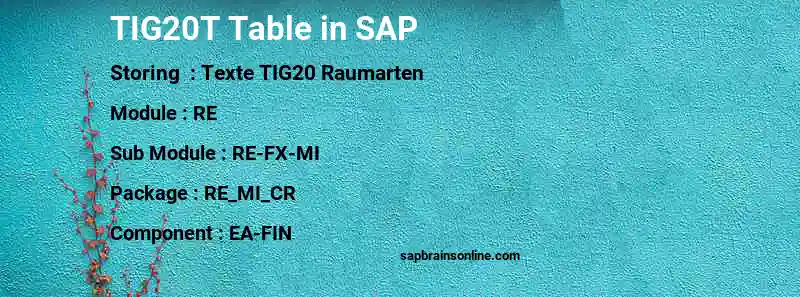 SAP TIG20T table