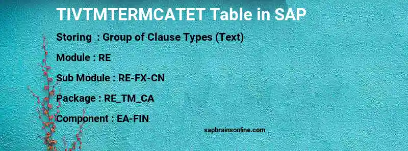 SAP TIVTMTERMCATET table