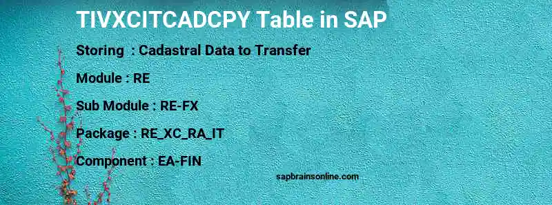 SAP TIVXCITCADCPY table
