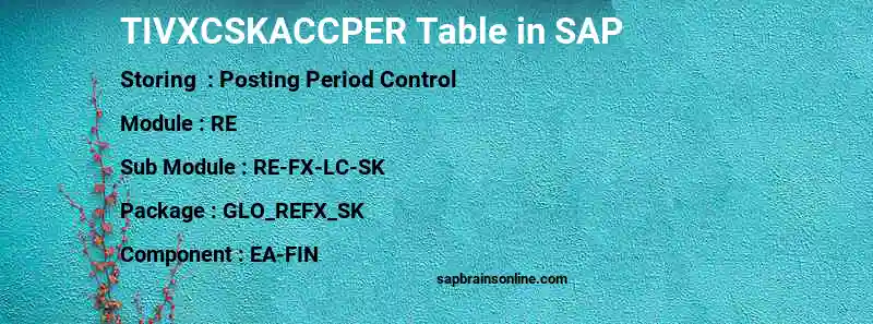 SAP TIVXCSKACCPER table