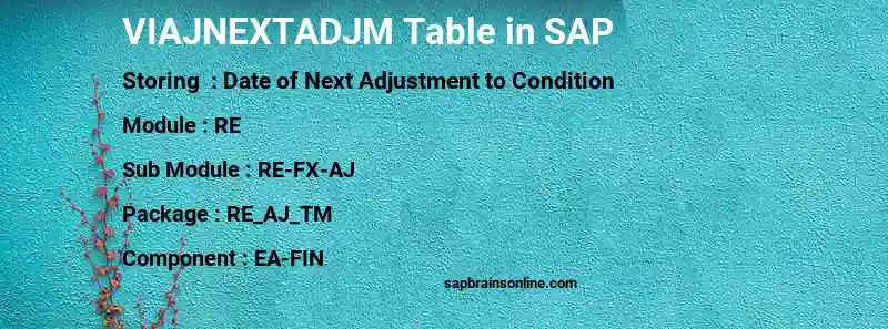 SAP VIAJNEXTADJM table