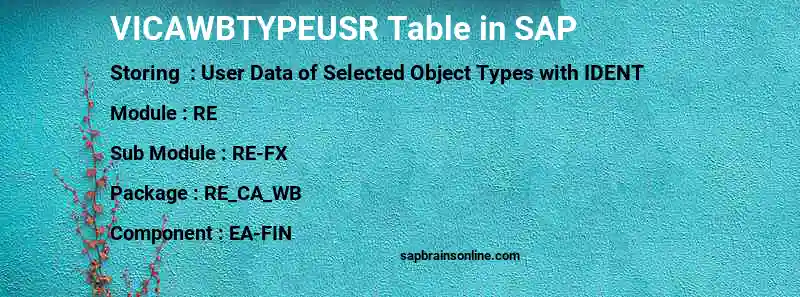 SAP VICAWBTYPEUSR table
