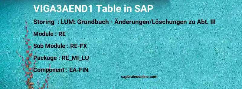 SAP VIGA3AEND1 table