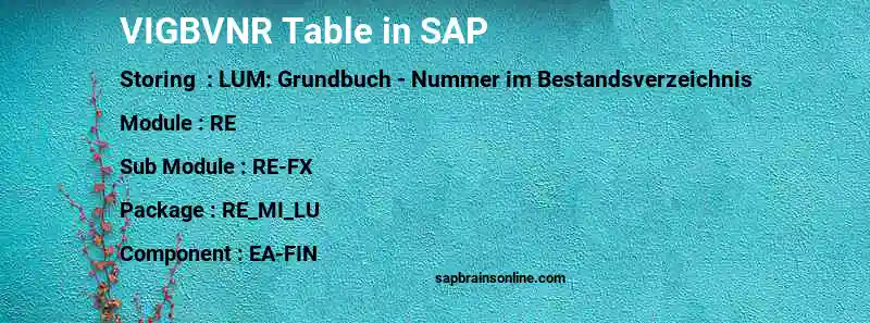 SAP VIGBVNR table