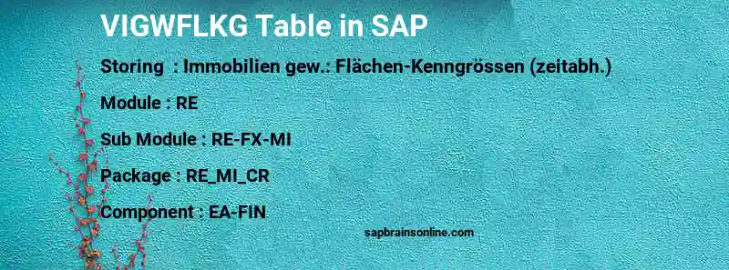 SAP VIGWFLKG table