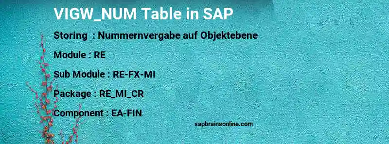 SAP VIGW_NUM table