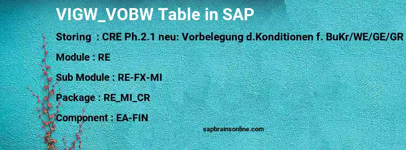 SAP VIGW_VOBW table