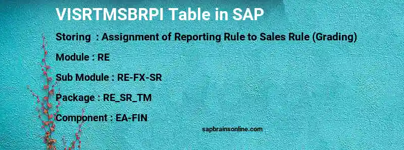 SAP VISRTMSBRPI table