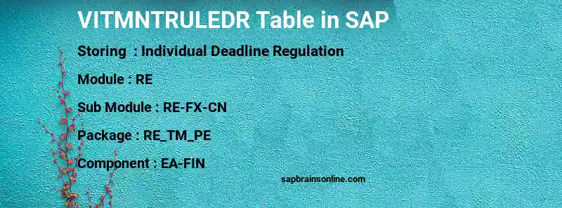 SAP VITMNTRULEDR table