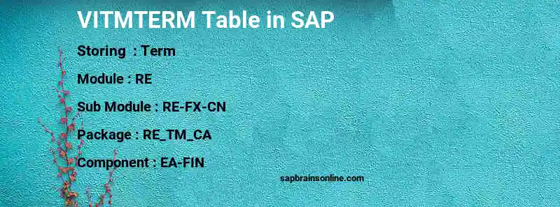 SAP VITMTERM table