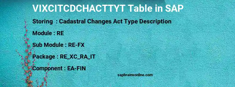 SAP VIXCITCDCHACTTYT table