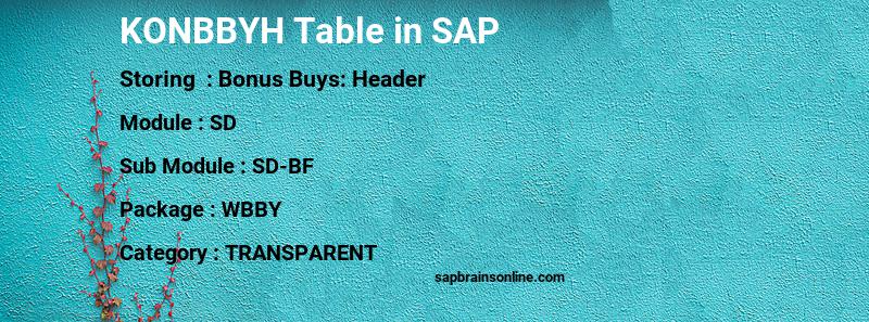 SAP KONBBYH table