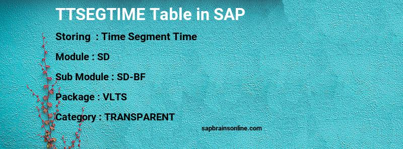 SAP TTSEGTIME table