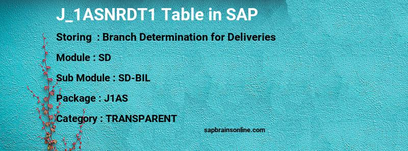 SAP J_1ASNRDT1 table