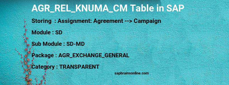 SAP AGR_REL_KNUMA_CM table