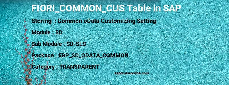 SAP FIORI_COMMON_CUS table