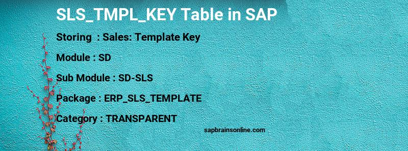 SAP SLS_TMPL_KEY table