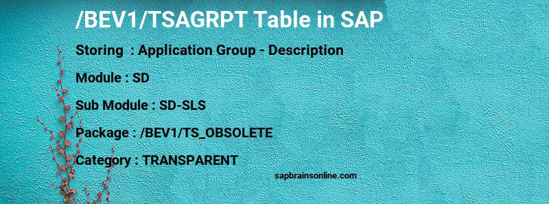 SAP /BEV1/TSAGRPT table
