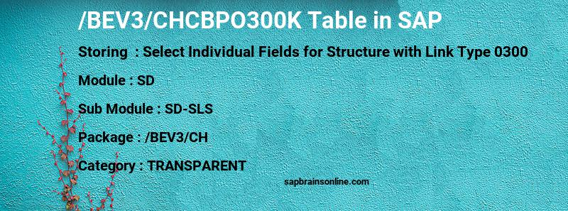 SAP /BEV3/CHCBPO300K table