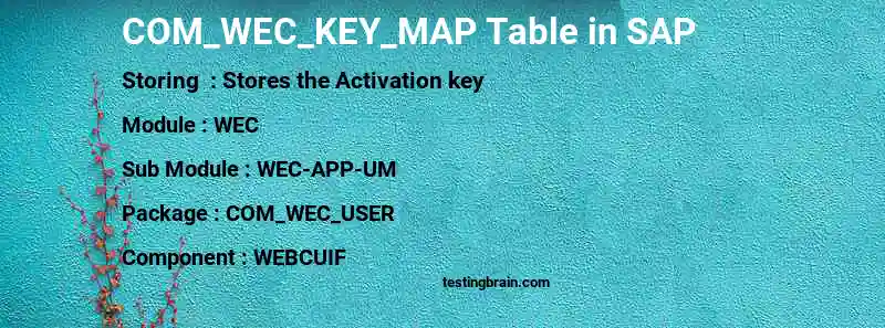SAP COM_WEC_KEY_MAP table