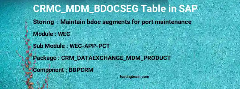 SAP CRMC_MDM_BDOCSEG table