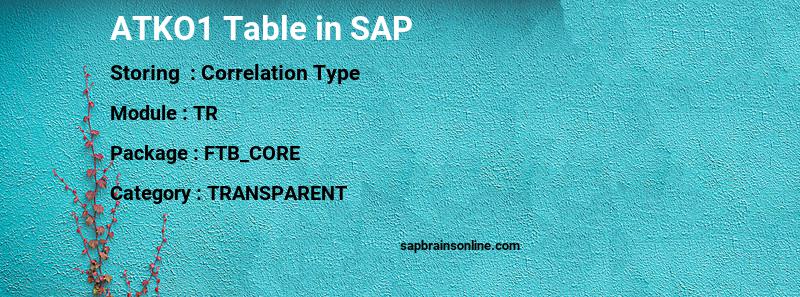 SAP ATKO1 table