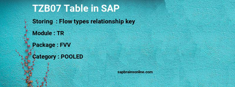 SAP TZB07 table