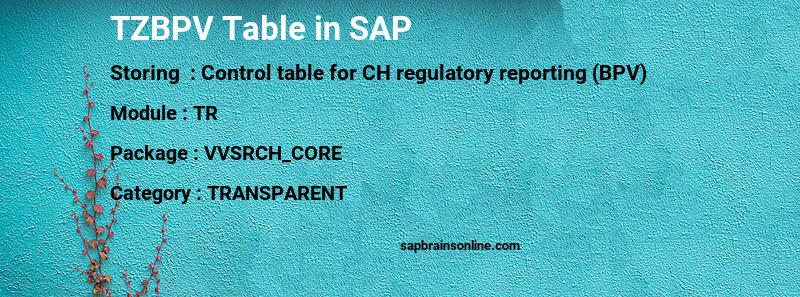 SAP TZBPV table