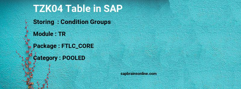 SAP TZK04 table