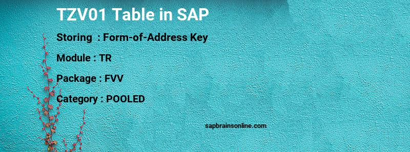 SAP TZV01 table