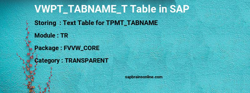 SAP VWPT_TABNAME_T table