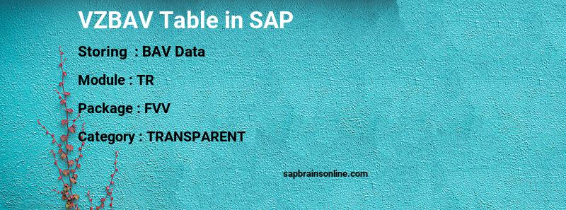 SAP VZBAV table