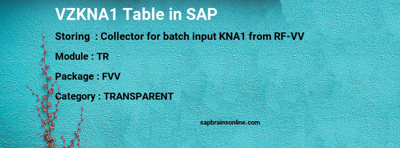 SAP VZKNA1 table