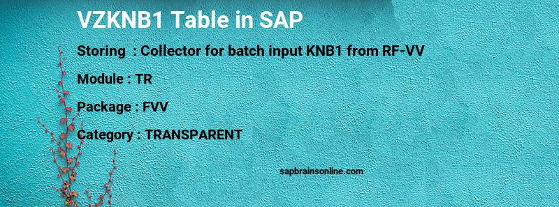 SAP VZKNB1 table