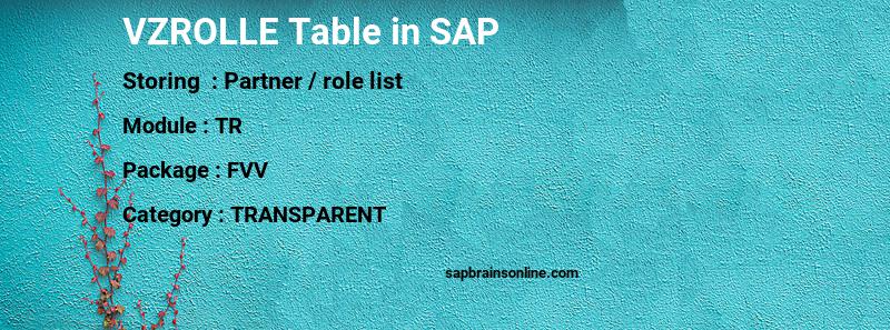 SAP VZROLLE table