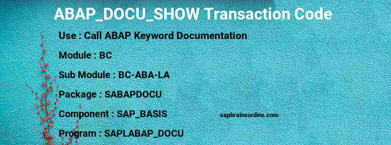 SAP ABAP_DOCU_SHOW transaction code