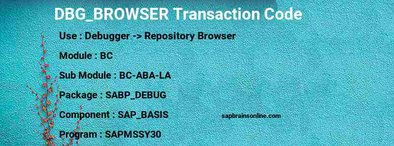 SAP DBG_BROWSER transaction code
