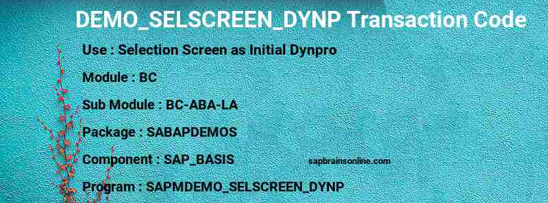 SAP DEMO_SELSCREEN_DYNP transaction code