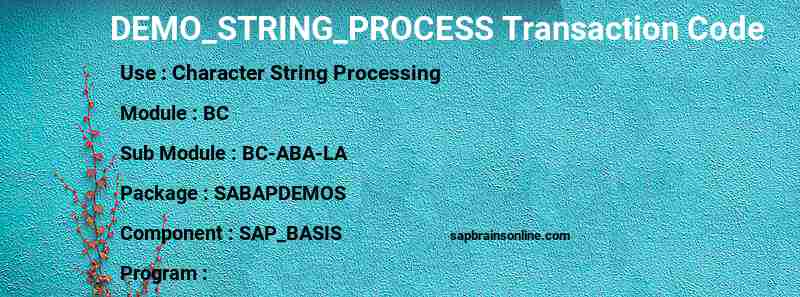 SAP DEMO_STRING_PROCESS transaction code