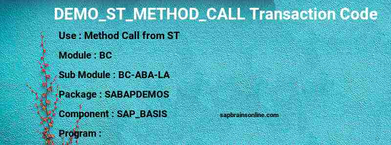SAP DEMO_ST_METHOD_CALL transaction code