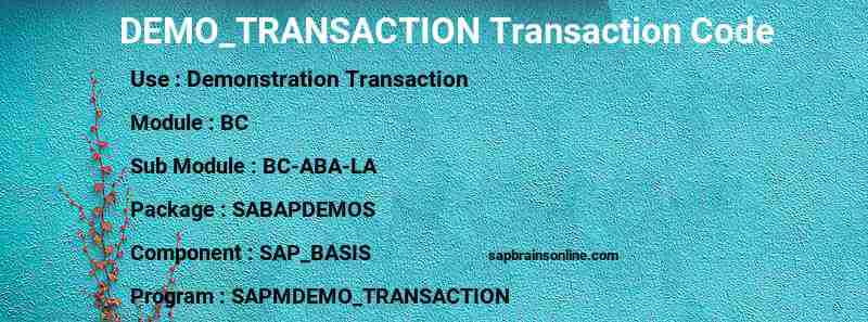 SAP DEMO_TRANSACTION transaction code
